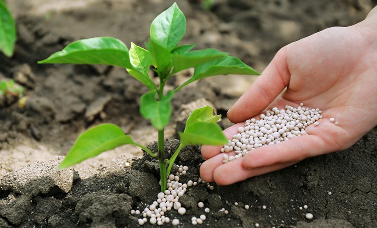 INB planeja aumentar produção de fertilizantes no Brasil